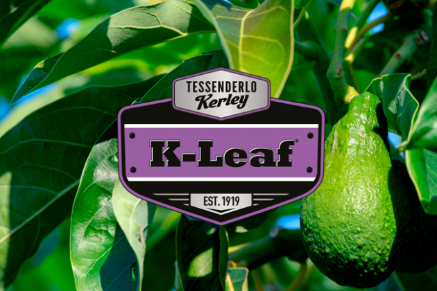 K-Leaf