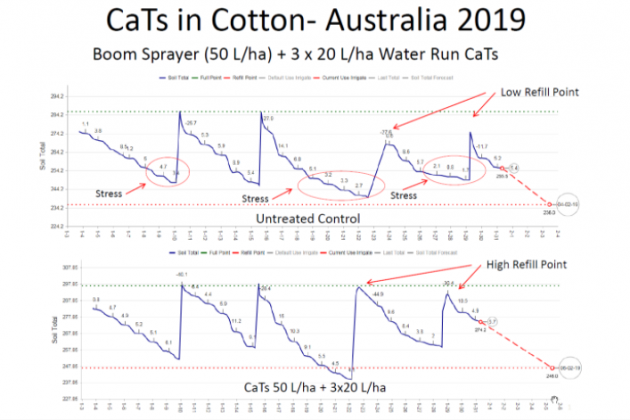 News_June10_Australian cotton 01