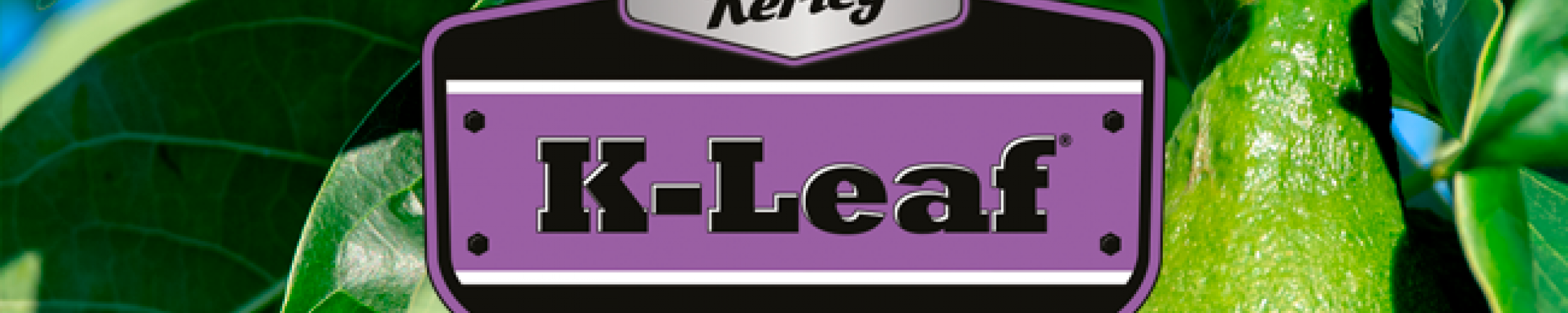 K-Leaf